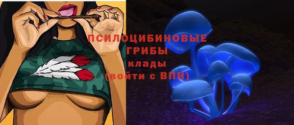 гашик Нягань