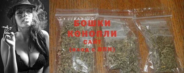 гашик Нягань