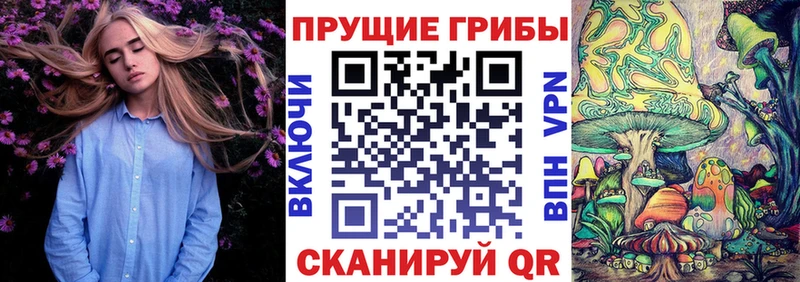 Купить закладки  Калач-на-Дону  Галлюциногенные грибы мухоморы 